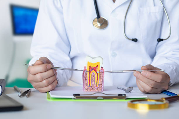 Best Emergency Treatment for Toothache in Shell Kno, MO